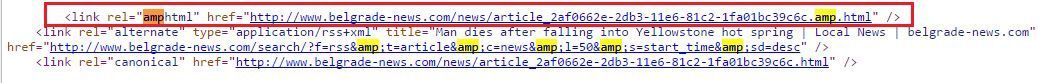 GoogleAMP_LinkRelCode
